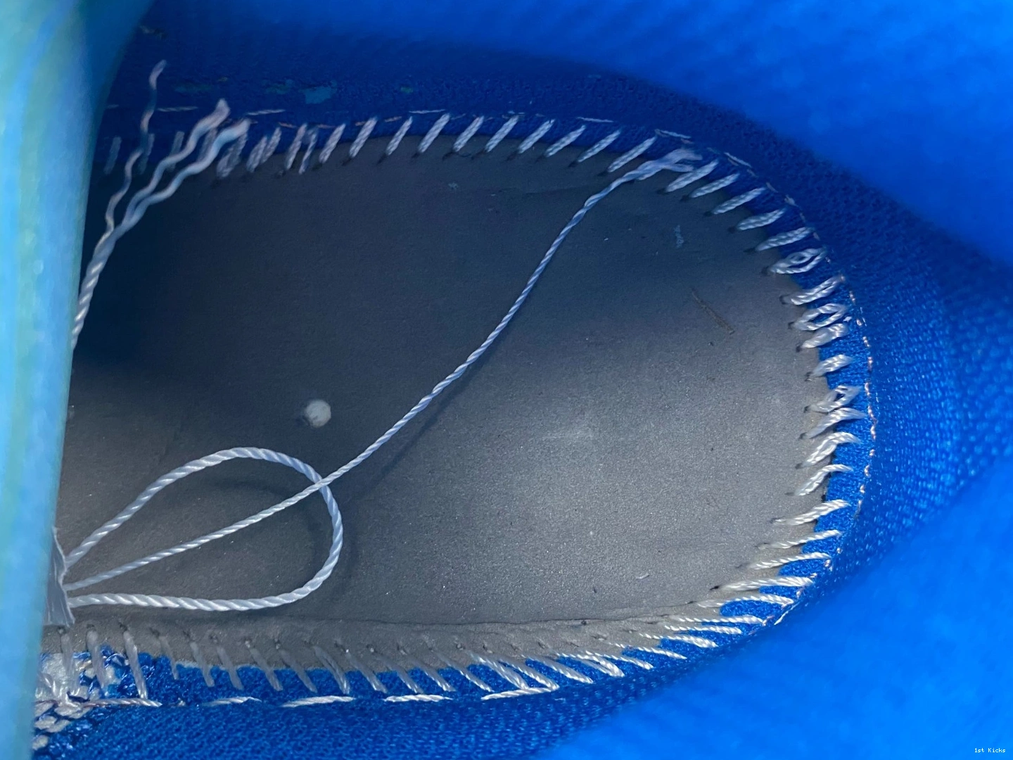 Blue Jordan DM1199-140 Air 1 Low True 0427